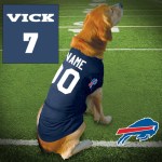 Buffalo-Vick7