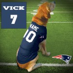 NewEngland-Vick7