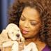 twitter-oprahwinfrey