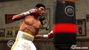 fight-night-round-4-training