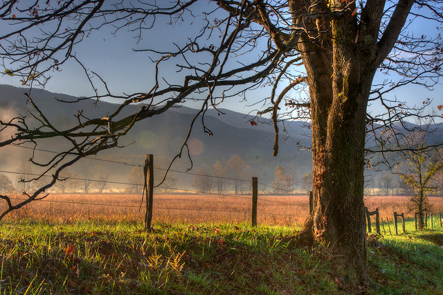 6265111037-83dc325fb0-640