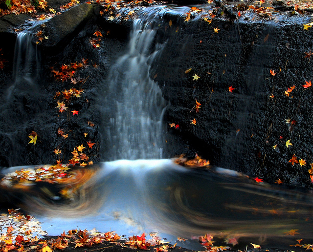 6340652461-f409783a37