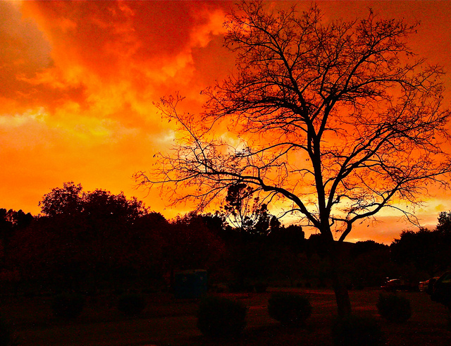 6382038395-c3fb805a4f