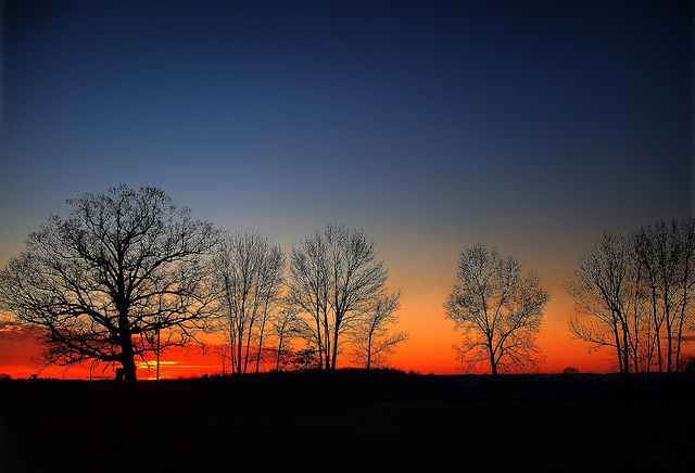 6674809491-6096d99875