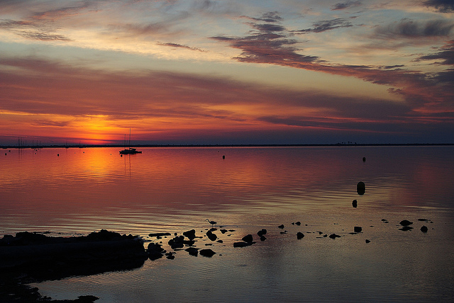 7031646719-3d2baf5587