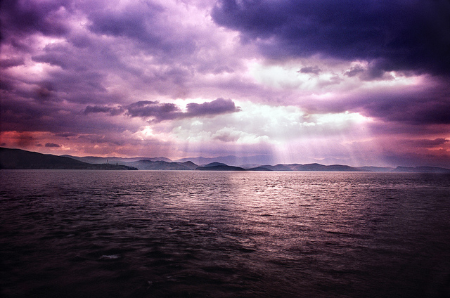 7299953560-085215306e