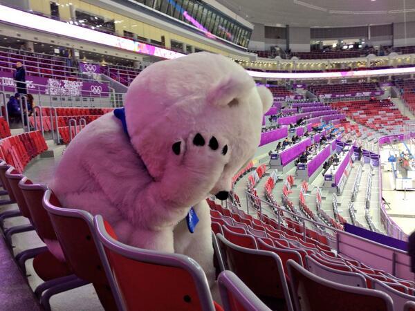 The Russian men's hockey team lost in the quarterfinals and left without a medal. The aftermath...