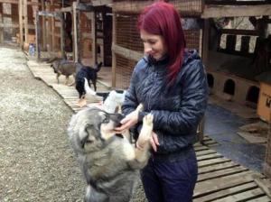 vlada-provotorova-stray-dog-rescue