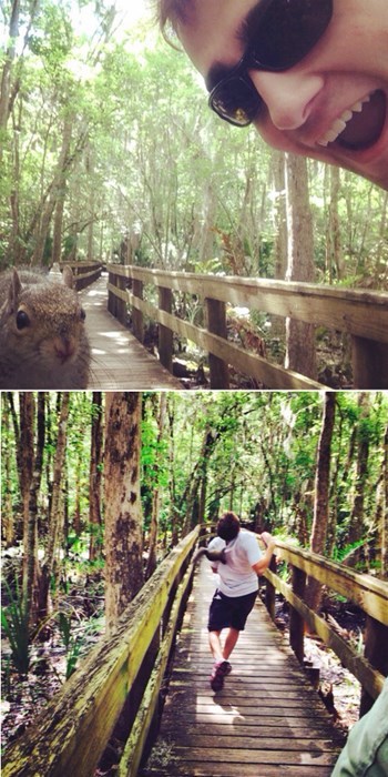 selfie-with-animals-fail