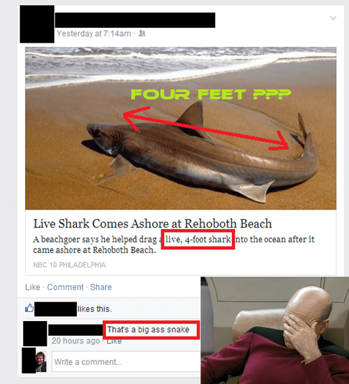 facebook-fail-monkeyfighting-snakes