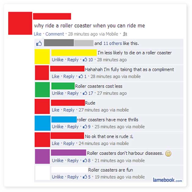 facebook-fail-roller-coaster